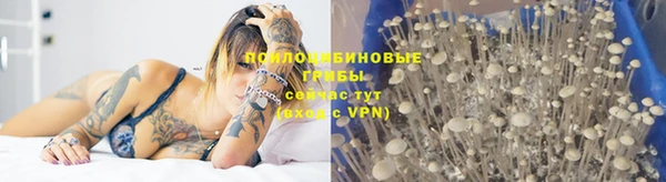 таблы Арсеньев