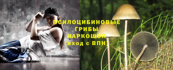 таблы Арсеньев